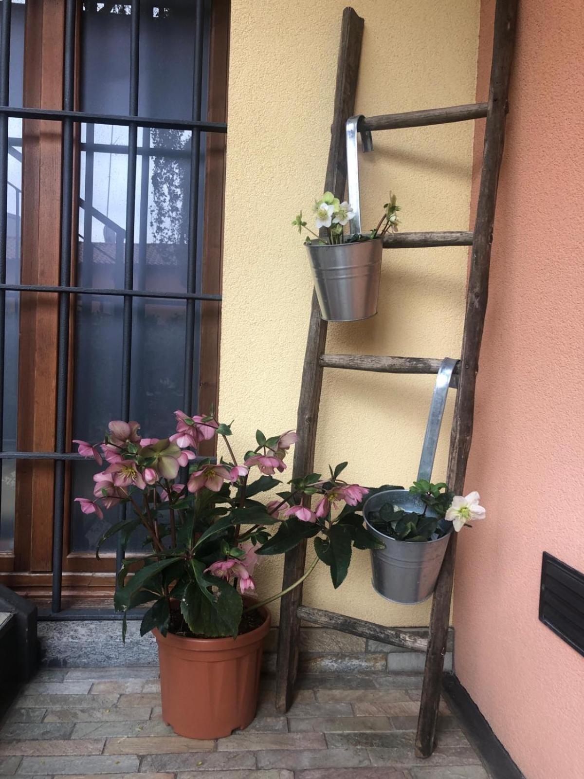A Due Passi Dal Castello Bed & Breakfast Somma Lombardo Ngoại thất bức ảnh
